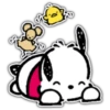 POCHACCO (line) 19