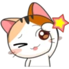 Meow For Mishell 2. 19