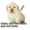 Perros 10