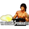 John
YA LLEGUÉ PERRAS!!!