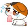 Meow For Mishell 2. 20