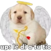 ups le di a tu tío