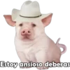 PERRITO PACK 4 19