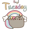 Semana♡Week 21