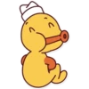 Ducki 15