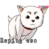 Perritos ?? 25