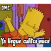 simpson 24