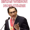 Vizcarra 22