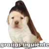 grasias siguiente