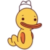 Ducki 16