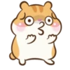 Chloe the Hamster 27