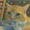 Amorcitos 30