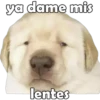 ya dame mis
lentes