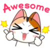 Japanese kitten 24