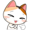 Meow For Mishell 2. 22