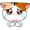 Japanese kitten 25
