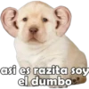 asi es razita soy
el dumbo