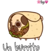 Perritos ?? 28