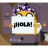 ¡HOLA!
Persy