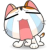 Meow For Mishell 2. 26