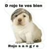 Perros 15