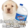 PERRITO PACK 4 22