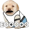 PERRITO PACK 4 23
