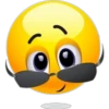 EMOJIS  HEIDER HOMAR 29
