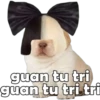 guan tu tri
guan tu tri tri