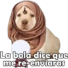 La bola dice que
me re-enviaras