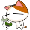 Japanese kitten 30