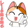 Meow For Mishell 2. 29