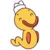 Ducki 24