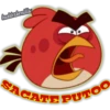 hadderbonilley
SACATE PUTOO