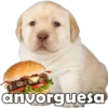 anvorguesa