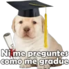 PERRITO PACK 13 24