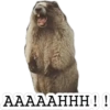 АААААННН!!