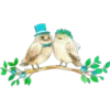 Amor ○●○ Pets 6