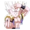 Dragón Ball 6