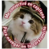 en
Me convertire
Para
capitana
navegar en tu
etas