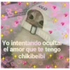 JOLO
@animals.kis
Yo intentando ocultar
el amor que te tengo
chikibeibi.+