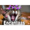 Gatitos ^~^ (by Krys) 7
