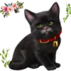 kittens 7
