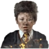 Harry potter memes 6