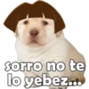 sorro no te
lo yebez...