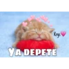Gatitos ^~^ (by Krys) 8