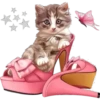 kittens 8