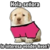 Memes uwu 16 6