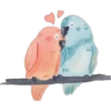 12
(1