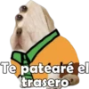Te patearé el
trasero